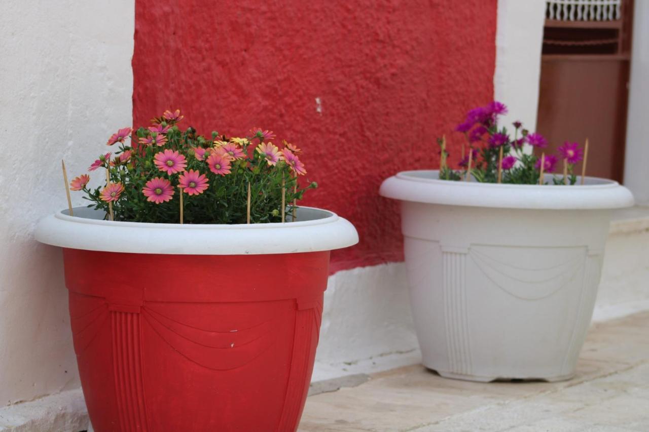 Penelope'S Street Old House Apartment Lefkada City Ngoại thất bức ảnh